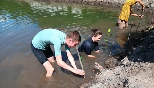 Kegiatan Edukasi menanam puhun Mangrove